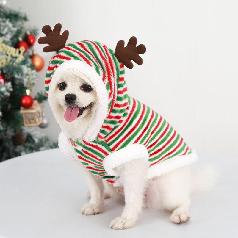 Wesołych Świąt ubranka dla psa – Winter Clothing Looks recenzja i cena
