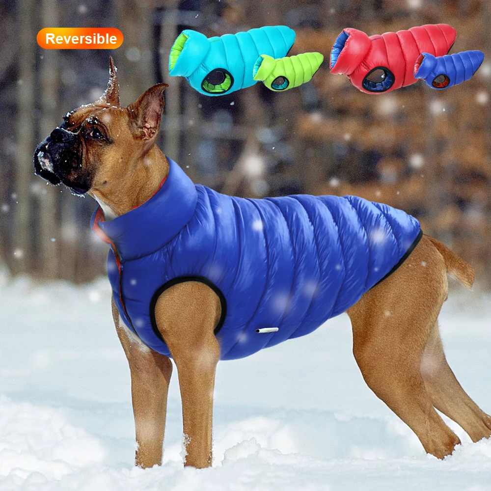 Ciepła zimowa kamizelka dla ps – Winter Clothing Layers recenzja i cena